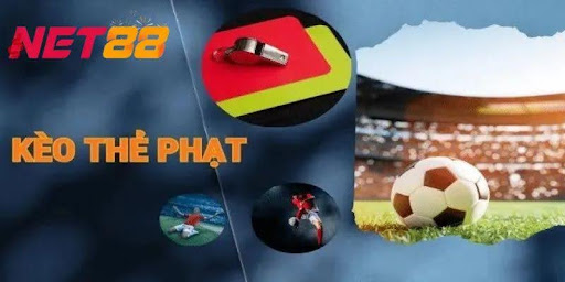 Khám Phá Thế Giới Giải Trí Tại Xe Đạp Điện Pega Nơi Đam Mê Gặp Gỡ Cơ Hội