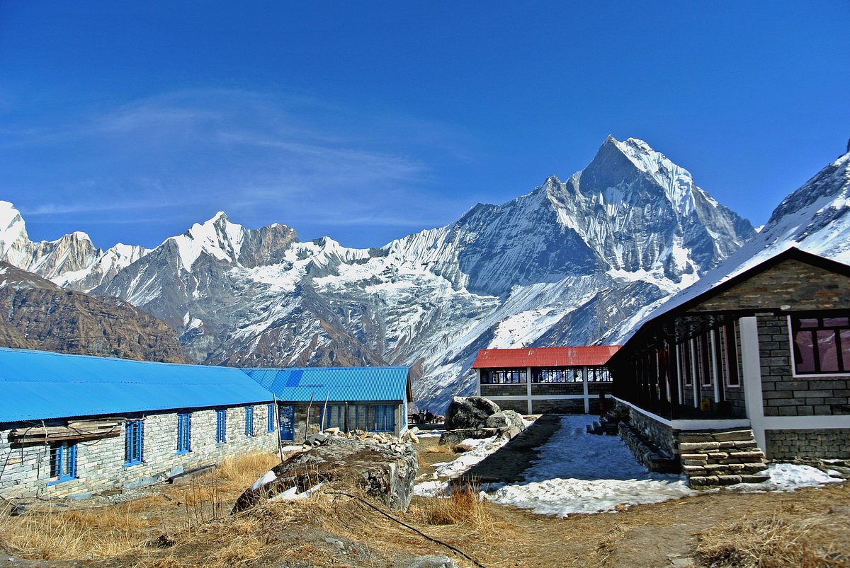 How to Trek Annapurna Base Camp in Spring